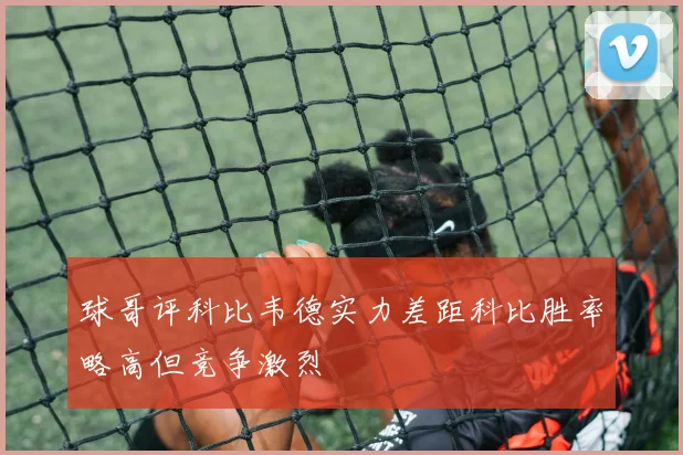 球哥评科比韦德实力差距科比胜率略高但竞争激烈