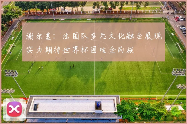 谢尔基：法国队多元文化融合展现实力期待世界杯团结全民族