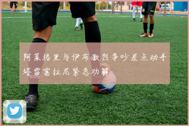 阿莱格里与伊布激烈争吵差点动手塔雷富拉尼紧急劝解